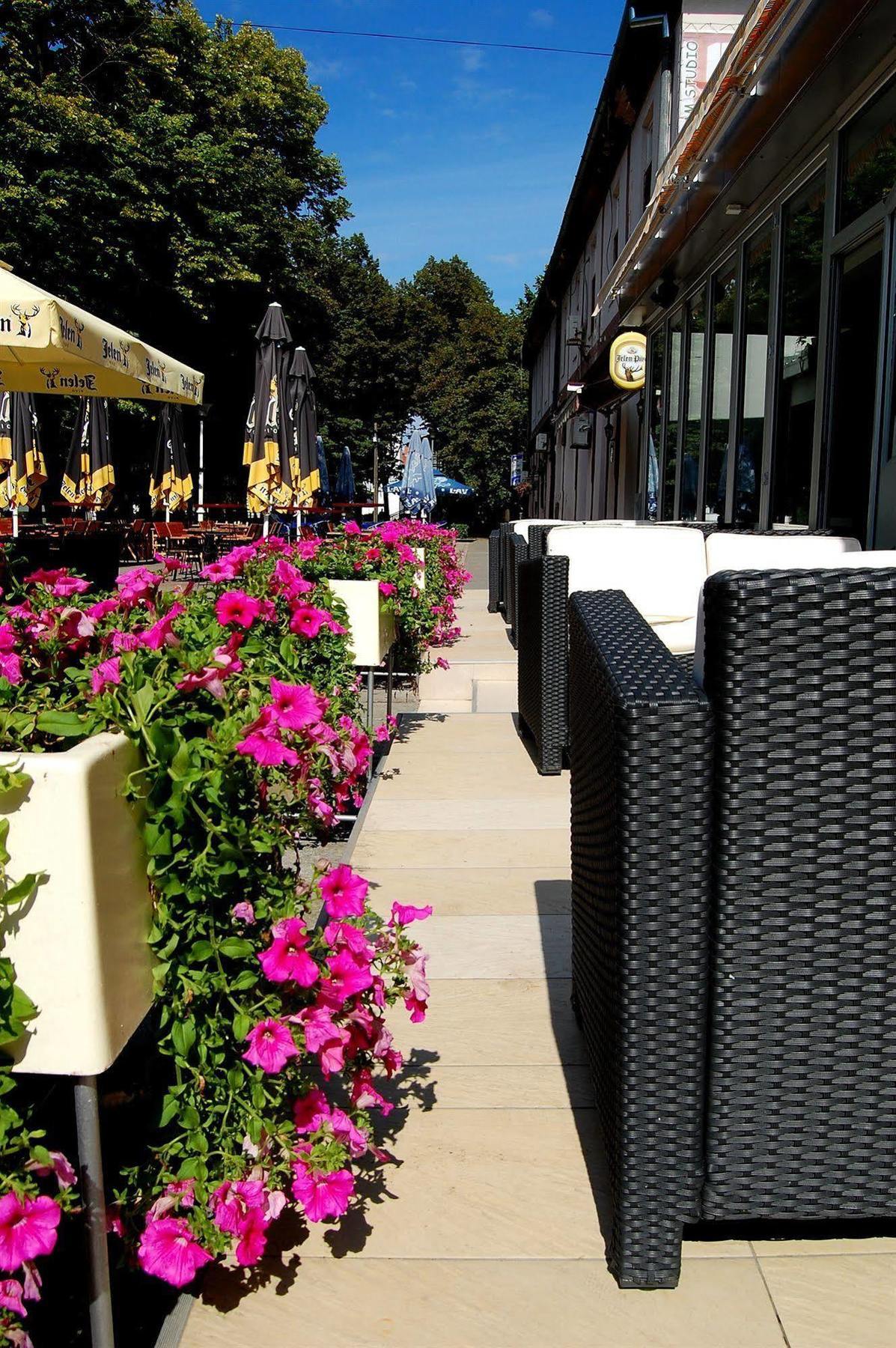 Novi Bečej Hotel Tiski Cvet מראה חיצוני תמונה